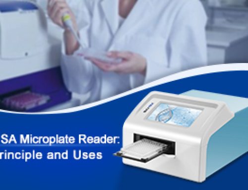ELISA Microplate Reader: Principle and Uses