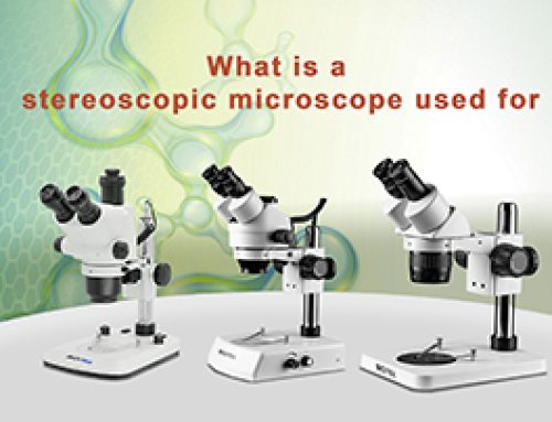 What is a Stereoscopic Microscope Used For