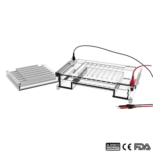 Horizontal Electrophoresis Tank