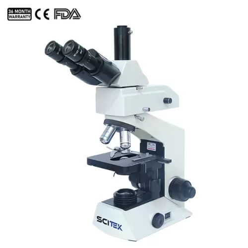 Fluorescence Microscope