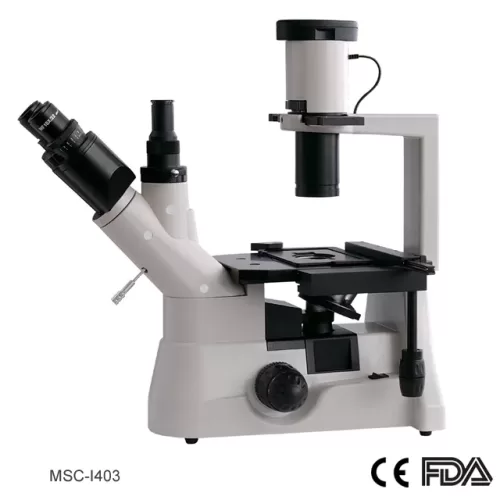 Inverted Microscope, Trinocular Head